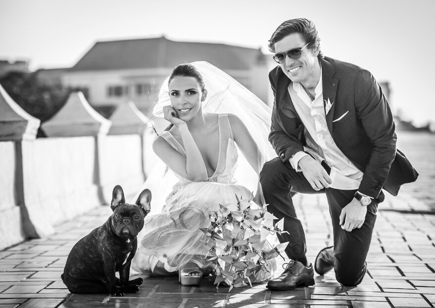 Mascotas en la boda: las mejores recomendaciones para tu 'fiel amigo'