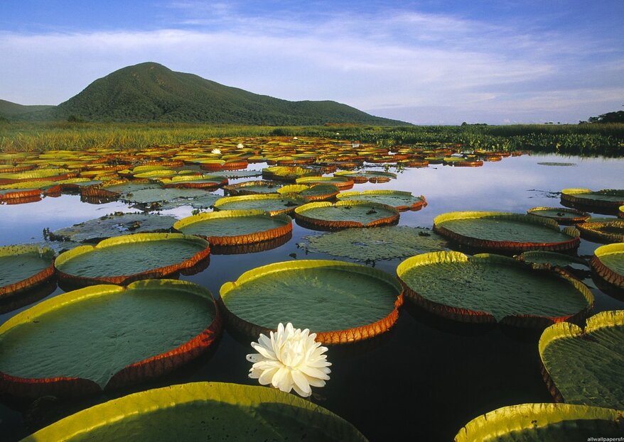 6 lagos impresionantes en Sudamérica para conocer en tu luna de miel